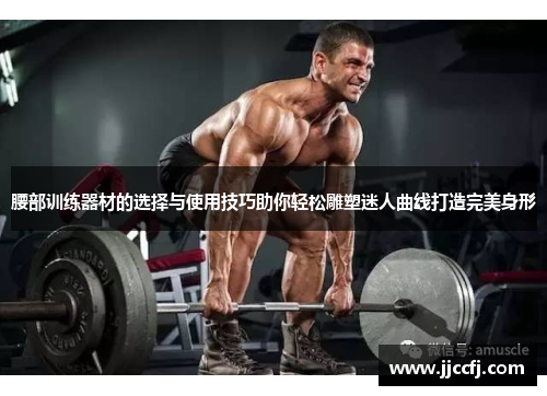腰部训练器材的选择与使用技巧助你轻松雕塑迷人曲线打造完美身形