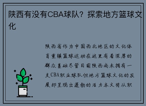 陕西有没有CBA球队？探索地方篮球文化